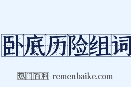卧底历险组词是什么意思的图片